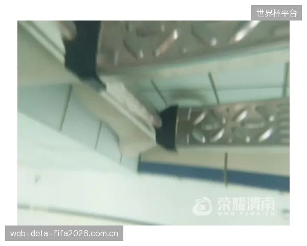 体育馆的安全底线：一个未被精确标定的阻尼器，可能构成一场“黑天鹅”事故的起点